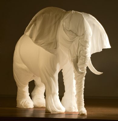 Lynn, White Elephant