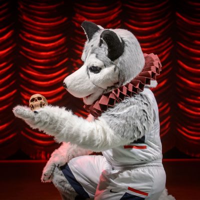 Jonathan the Husky is ready for Shakespeare's First Folio to come to the Benton!