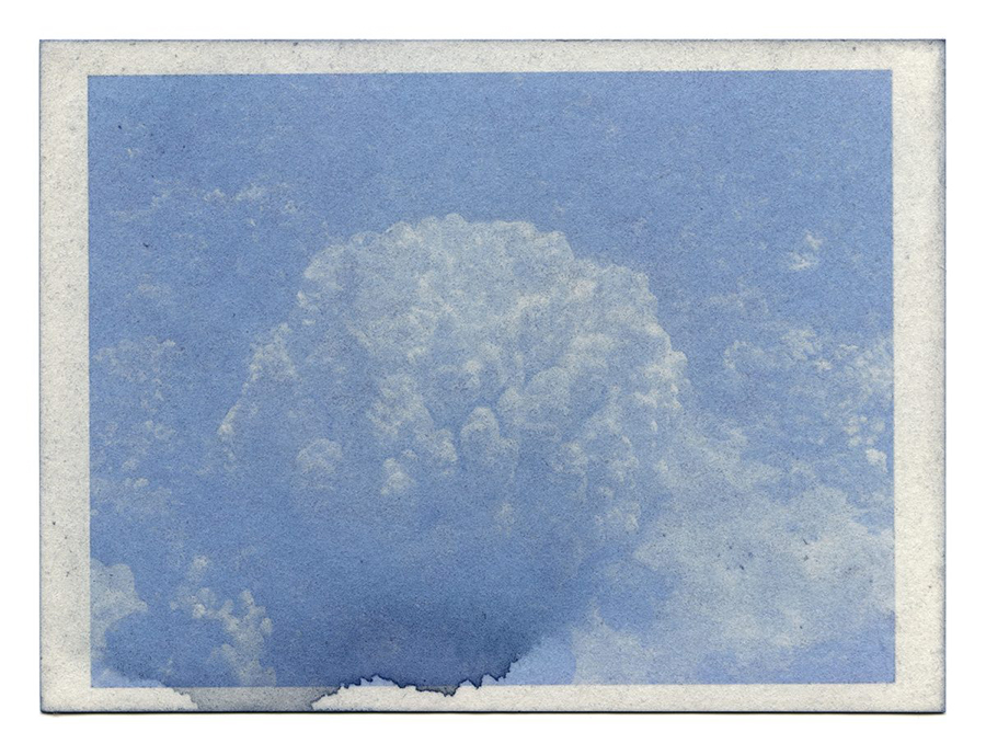Fading Reefs 4 (2020) Anthotype made with red cabbage, 4.5" x 6".  