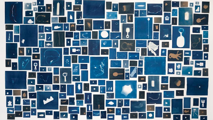 November 3, 2018 Collection (2018). 240 cyanotype prints, dimensions variable.