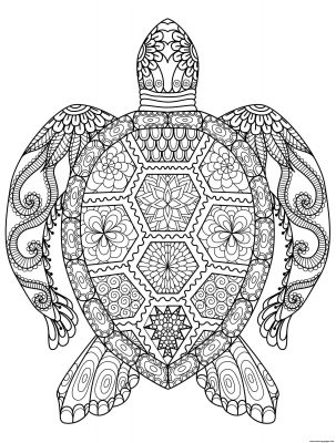 Turtle Zen coloring page