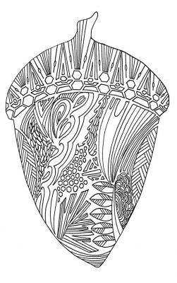 Coloring Page; Acorn