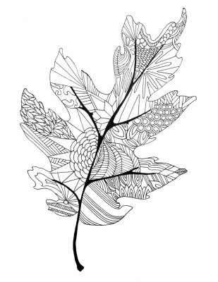 Coloring Page; fall leaf
