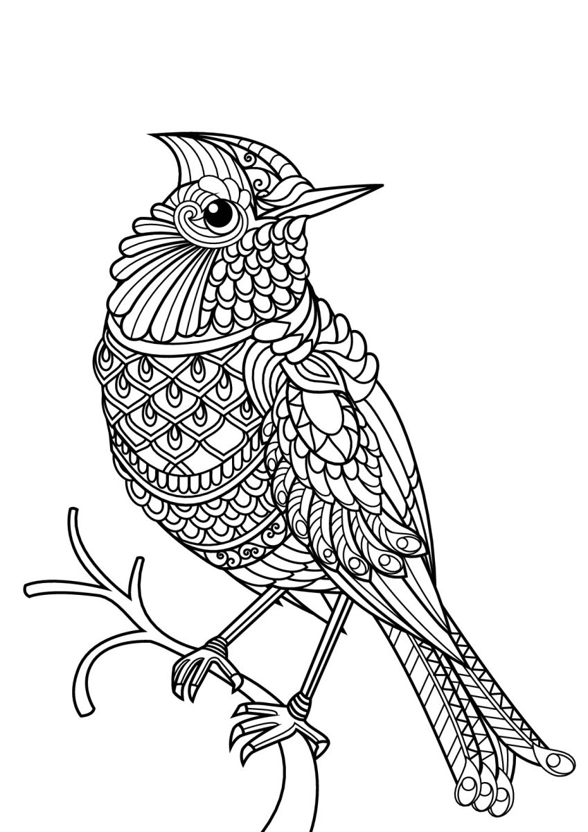 Bird coloring page